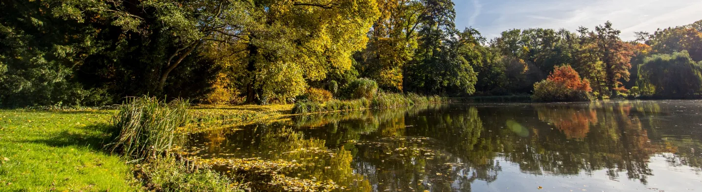 Kórnik Arboretum