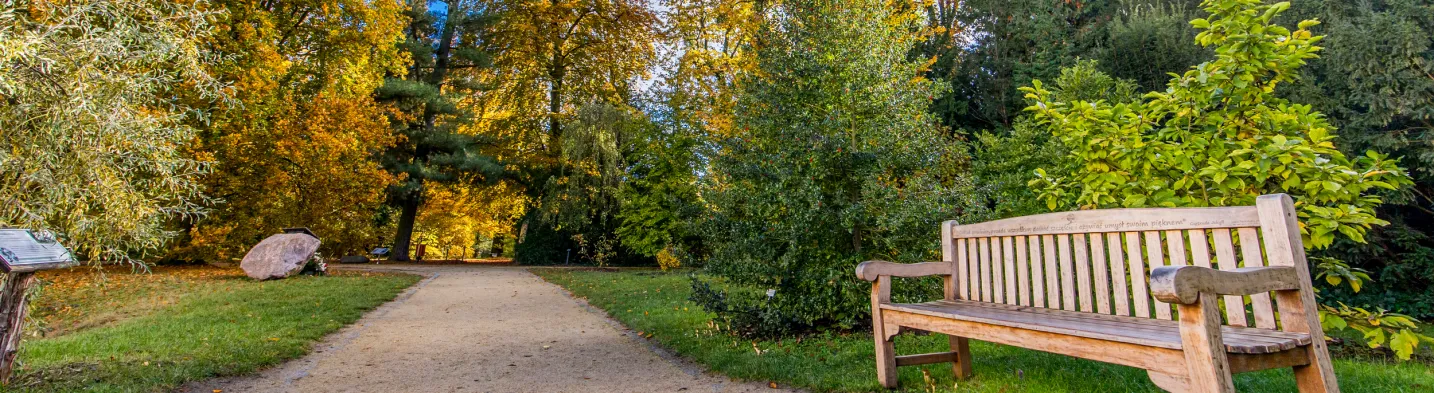 Arboretum Kórnickie