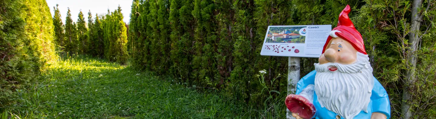 Green Labyrinth in Owińska