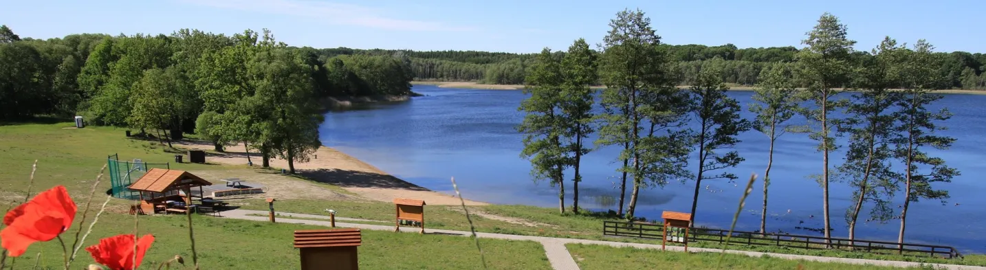 Beach in Potrzanowo