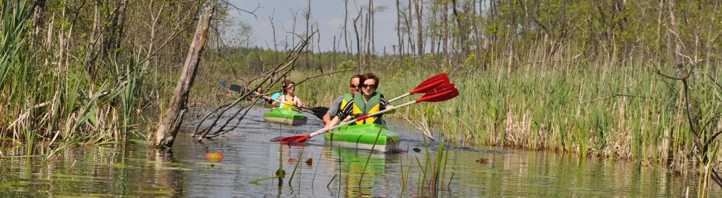 Zielonka Forest Kayak Trail