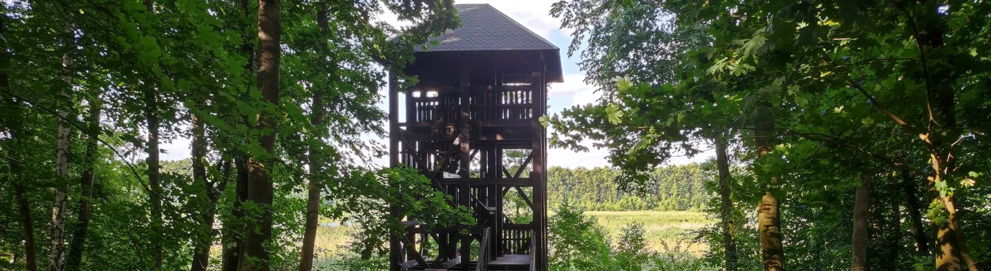 Trzcielińskie Swamp Birdwatching Tower