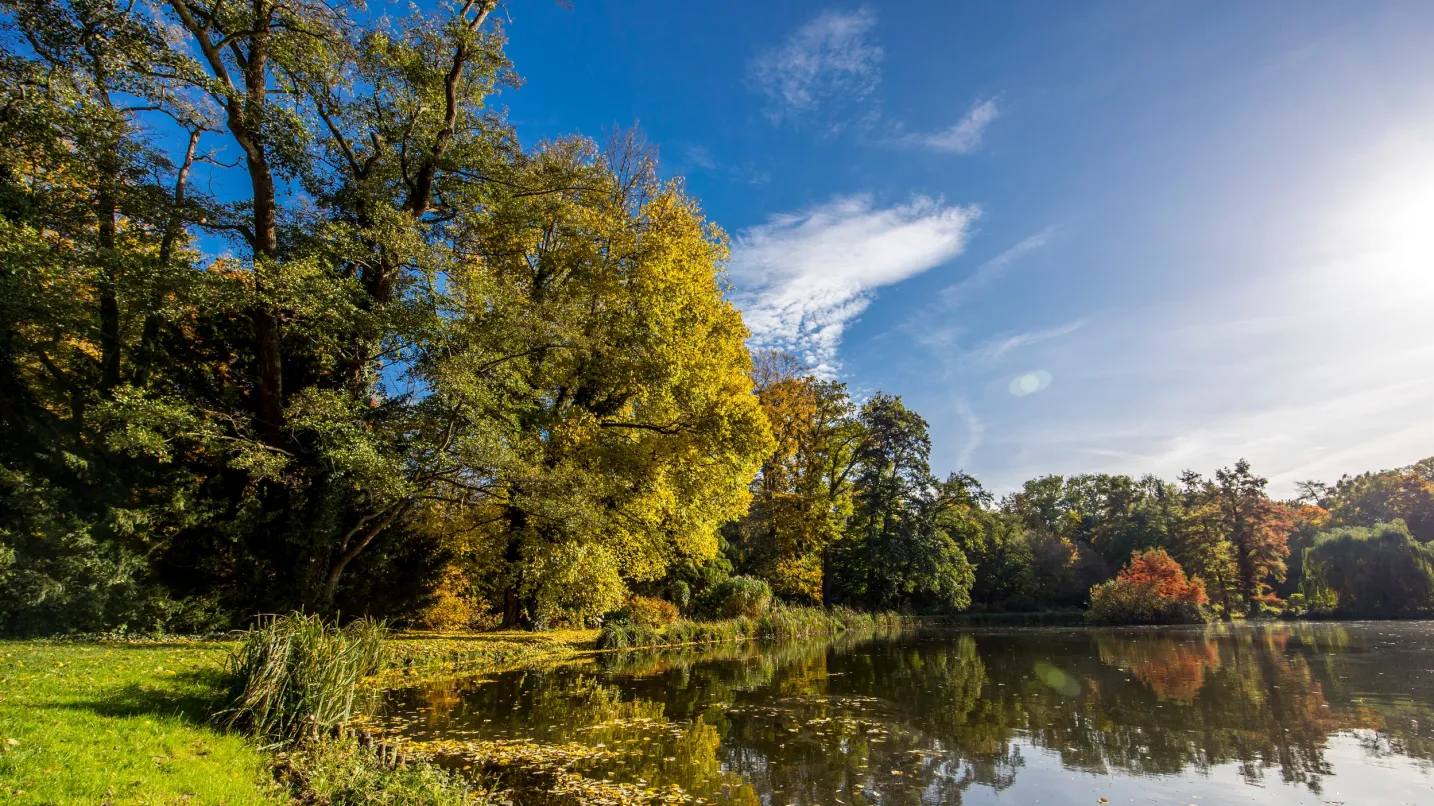 Główny obrazekArboretum Kórnickie