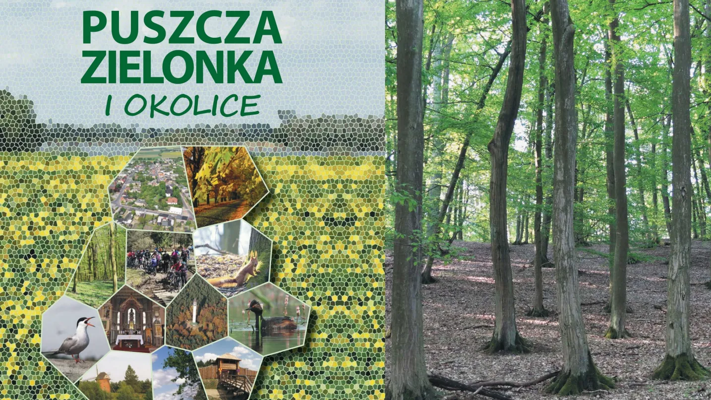 Główny obrazekPuszcza Zielonka i okolice