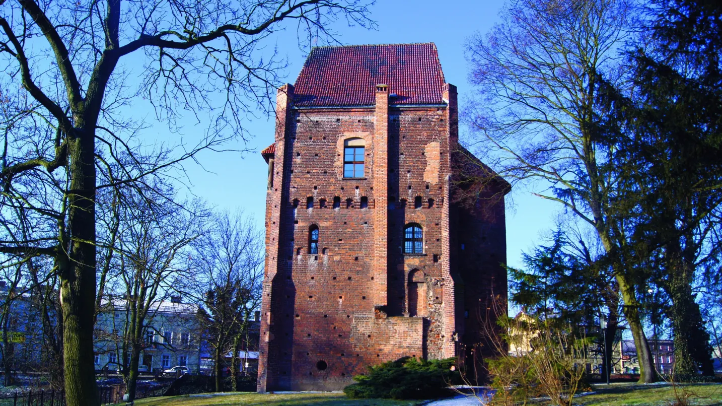 Główny obrazekGórka Castle Museum in Szamotuły
