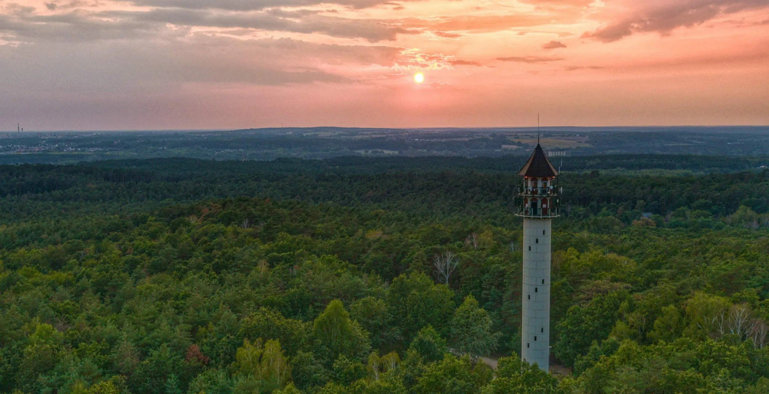 Galeria Wieża widokowa Dziewicza Góra, zdjędcie #3