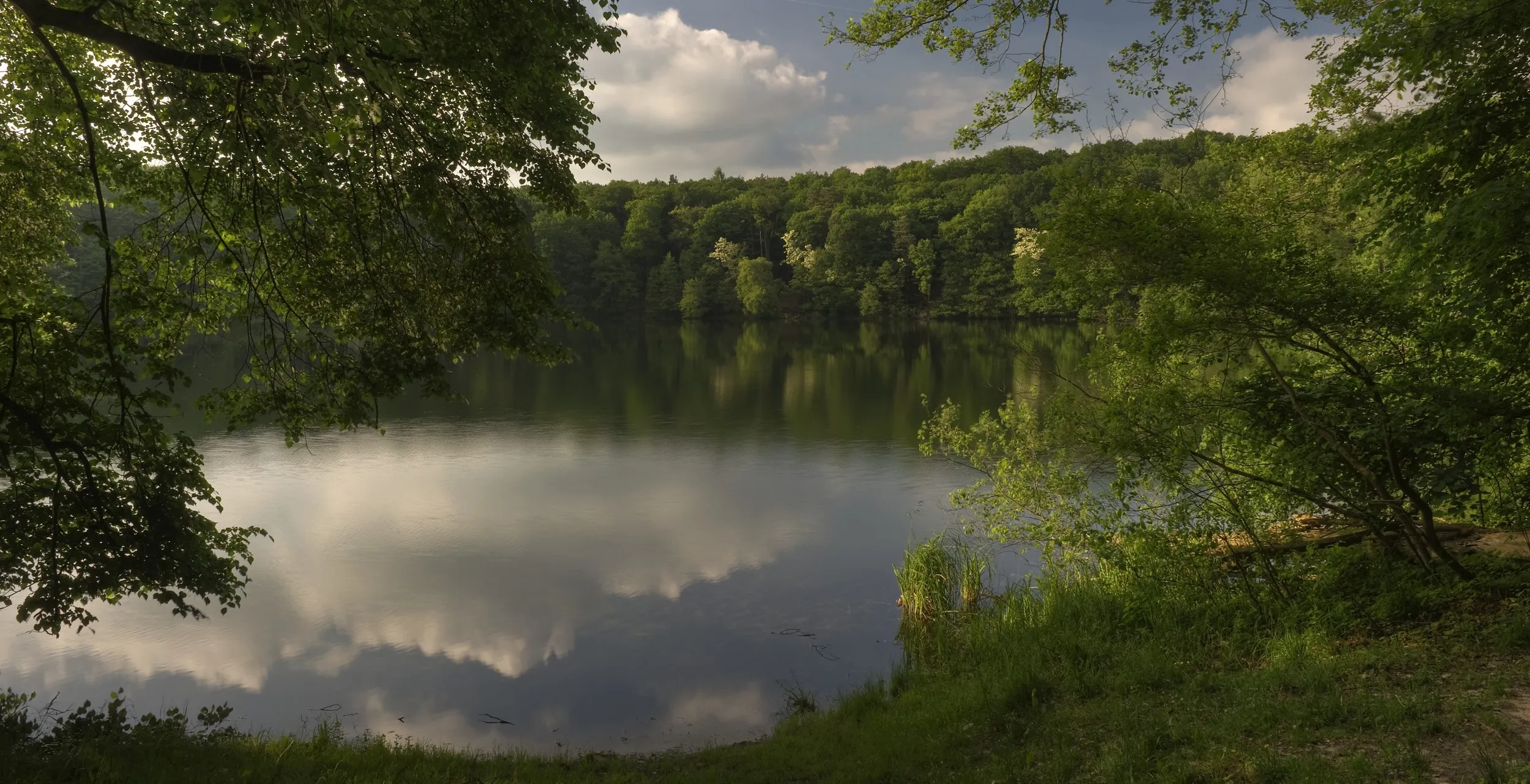 Galeria Wielkopolski Park Narodowy, zdjędcie #7