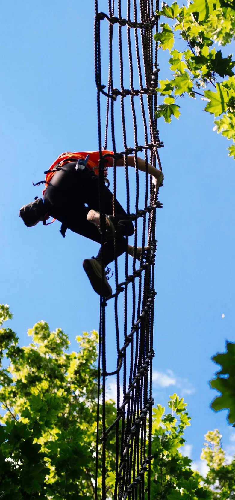 Galeria Cascader Park Ropes Course in Kobylnica, zdjędcie #1