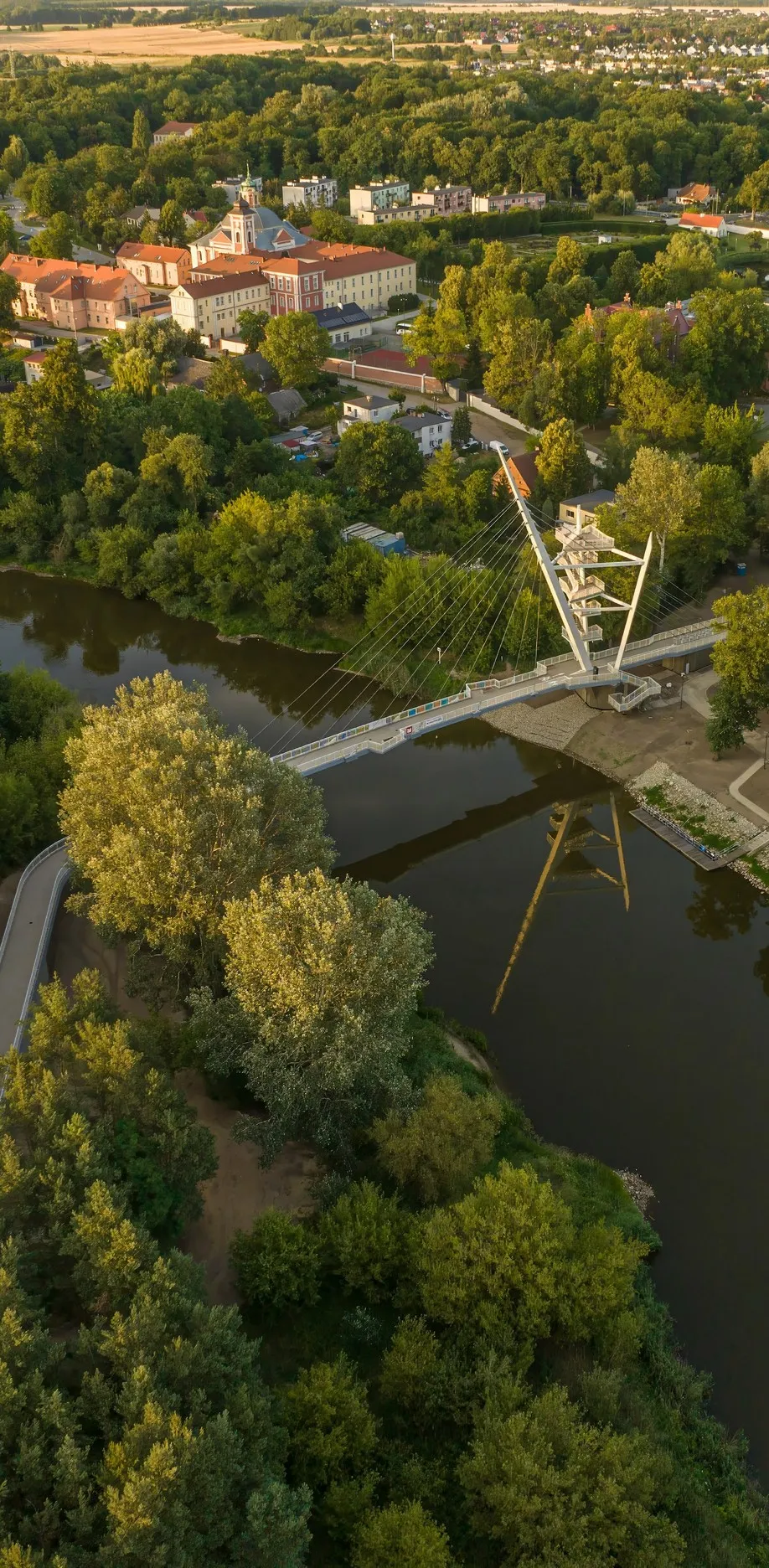 Galeria Footbridge with an observation tower in Owińska, zdjędcie #1