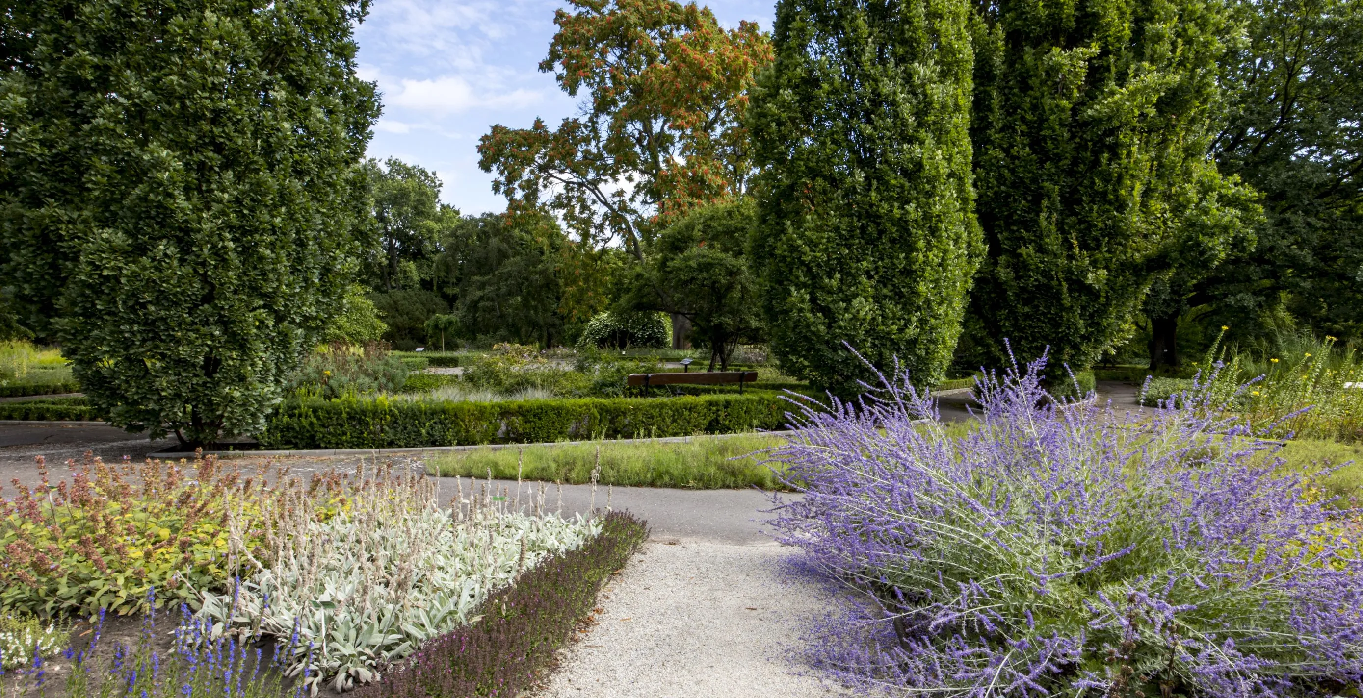 Galeria Botanical Garden, zdjędcie #7