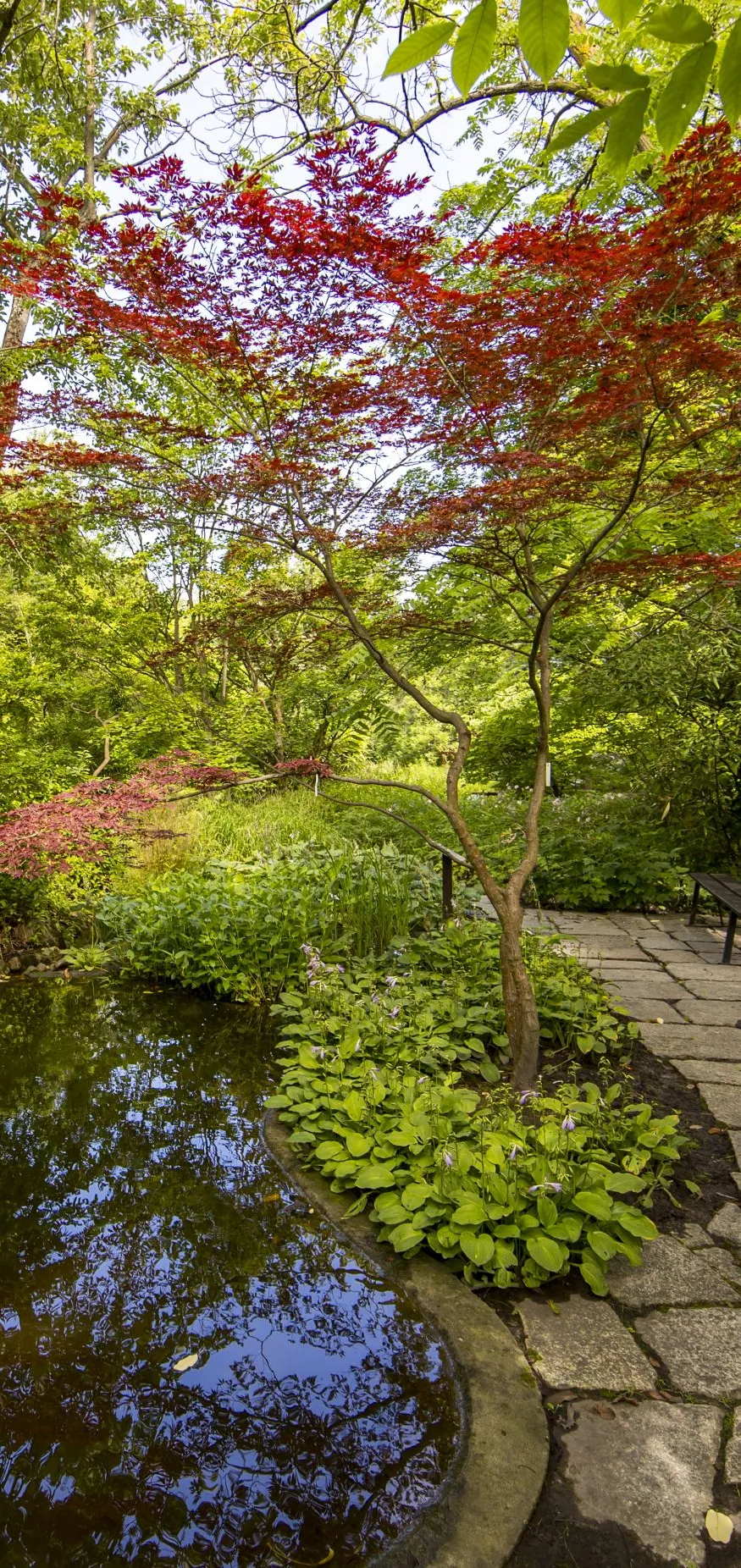 Galeria Botanical Garden, zdjędcie #8