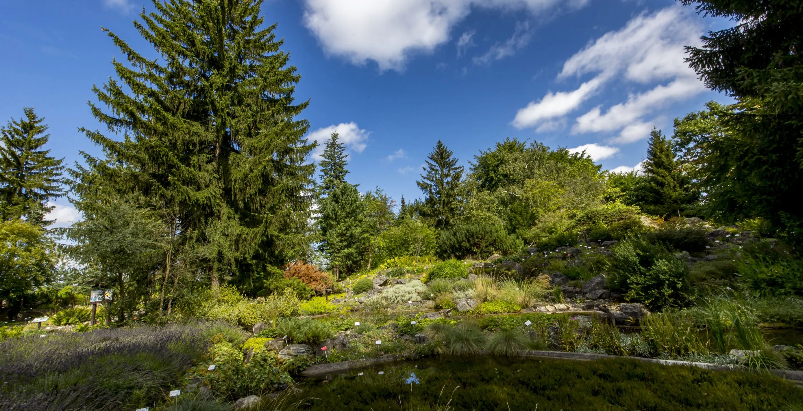 Galeria Botanical Garden, zdjędcie #3