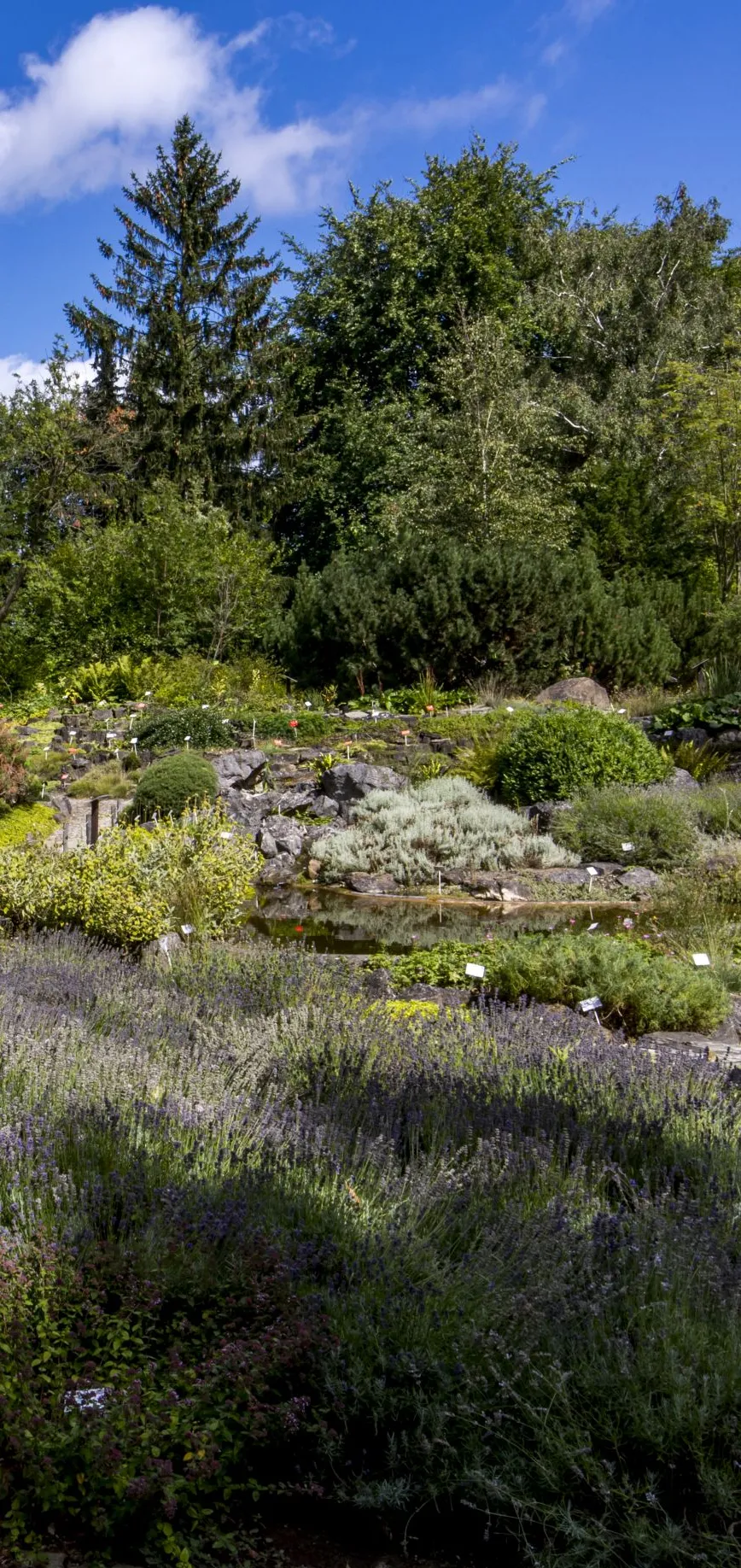 Galeria Botanical Garden, zdjędcie #5