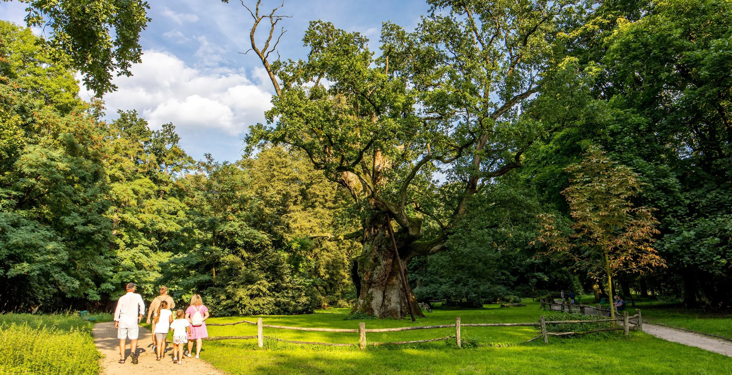 Galeria Oak Trees in Rogalin: Lech, Czech and Rus, zdjędcie #6