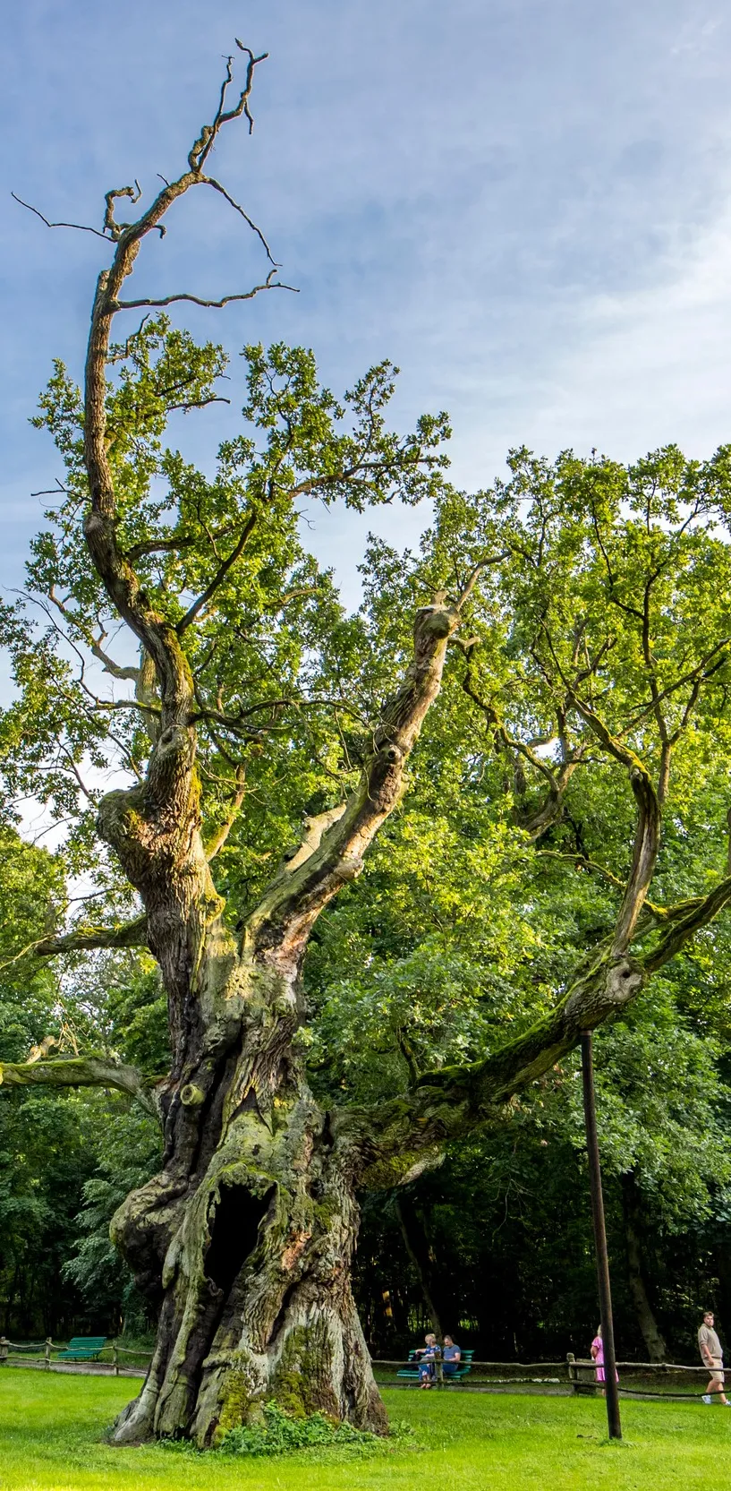 Galeria Oak Trees in Rogalin: Lech, Czech and Rus, zdjędcie #1