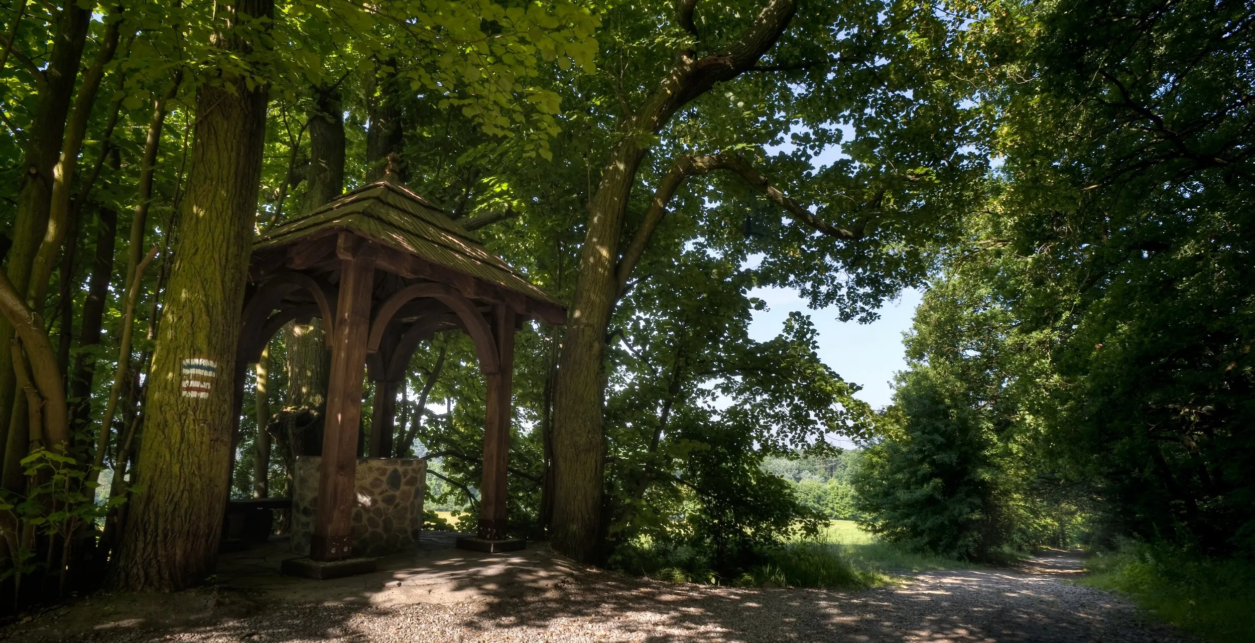 Galeria Wielkopolski Park Narodowy, zdjędcie #2